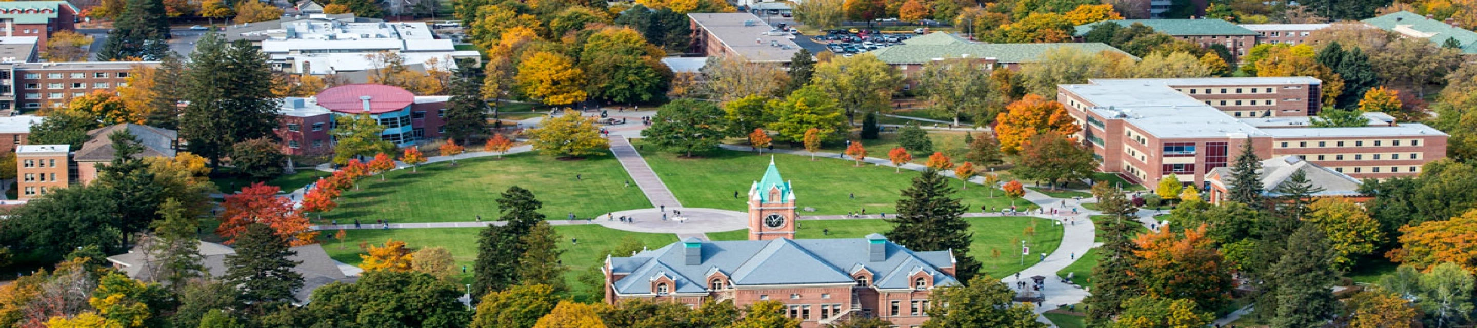 Neuroscience, Cognitive Neuroscience